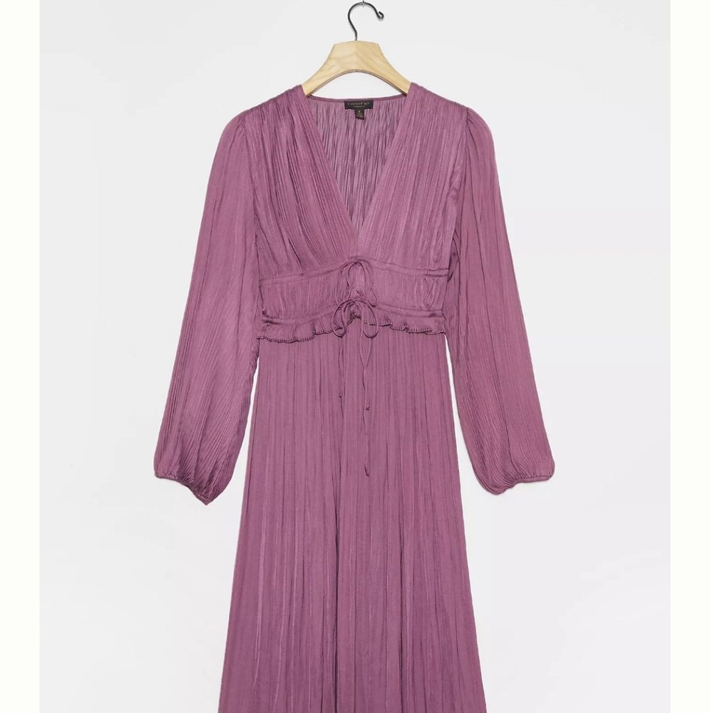 Anthropologie Sidone Midi dress in plum